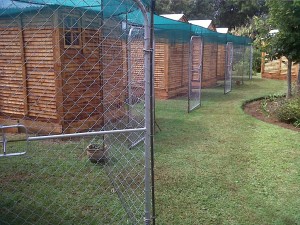 Luxury Cabins