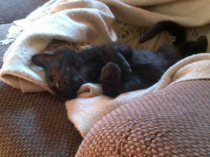 Our youngest family member 